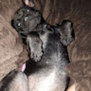 Meet your Posher, Lillyanna